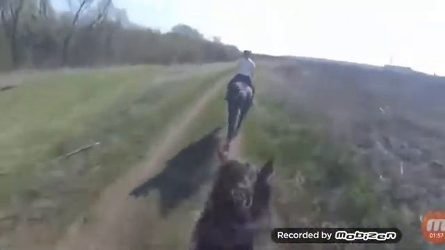 Люди катаются на лошади это не я!!!! смотреть онлайн