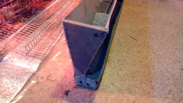 Бункерная кормушка для перепелок своими руками смотреть онлайн