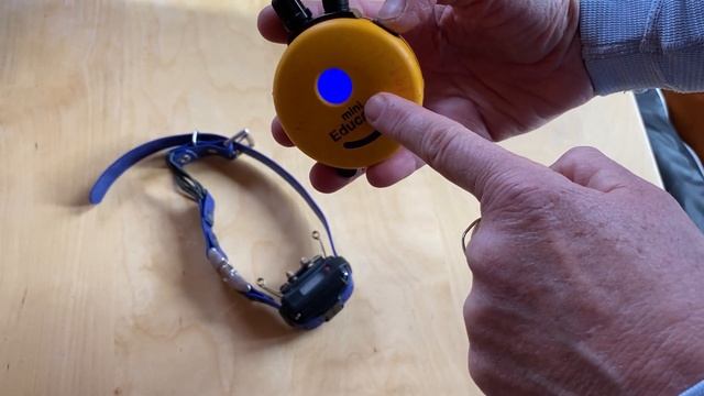 How to toggle between tone and vibrate on an ET300 electronic dog collar. смотреть онлайн