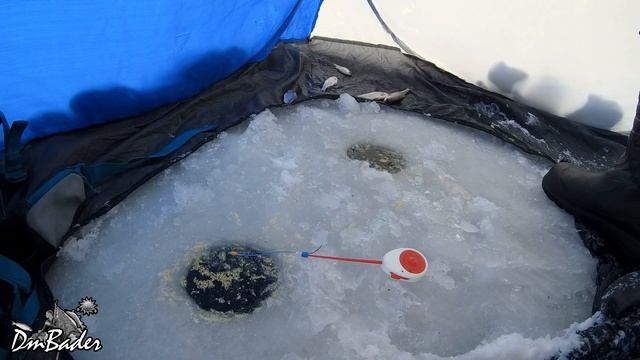 Зимняя рыбалка 2021-22,ловля сороги,озеро Подувал смотреть онлайн