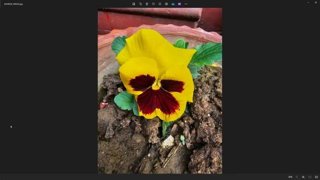 Vivo X100 Pro camera review and comparison with S23 Ultra смотреть онлайн