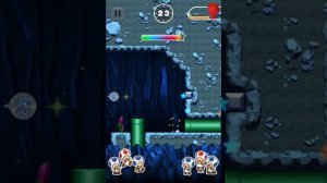 Игра Супер Марио Run Ралли с Тодамми.