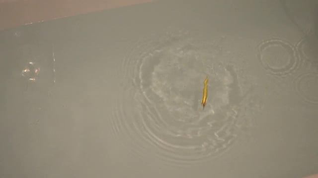 Видео игра #отвесная #зимняя #блесна #namazu #rocket смотреть онлайн