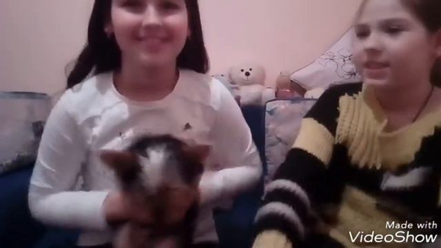 Родители подарили щенка?.Наши новогодние подарки? смотреть онлайн