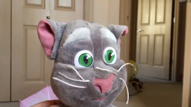 Говорящий кот Том и другие смешные животные смотреть онлайн