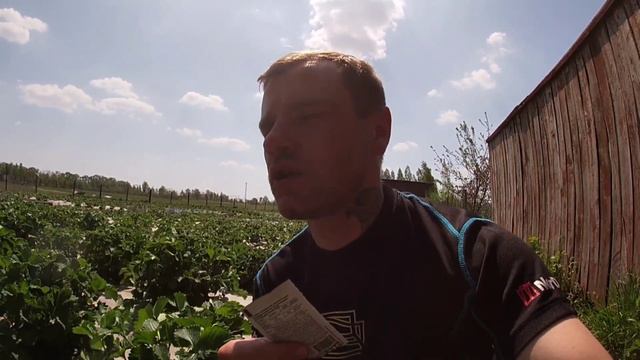 Фінансові затрати для 10 соток полуниці на яд від хруща/Чому без яду в 2022 нікуди не рипнешся? смотреть онлайн