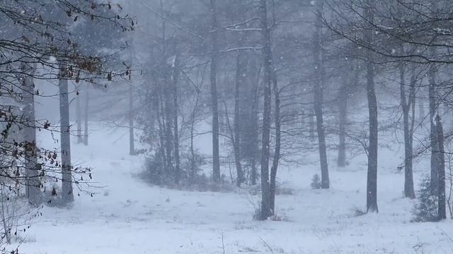 Сергей Давиденко (А. Варго) Льдинка#3 ФИНАЛ смотреть онлайн