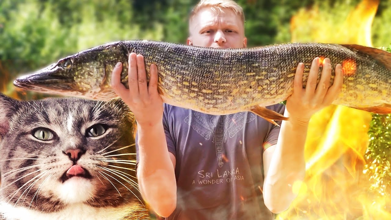 Огромная щука прямо на костре!!! смотреть онлайн
