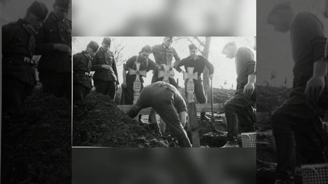 Встречайте, вторая серия рубрики "Города - герои", посвященная Бресту! смотреть онлайн