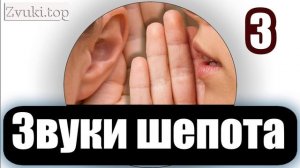 Звуки шепота людей  Люди шепчутся на ухо звуковой эффект несколько вариантов