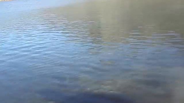 Первый голец смотреть онлайн