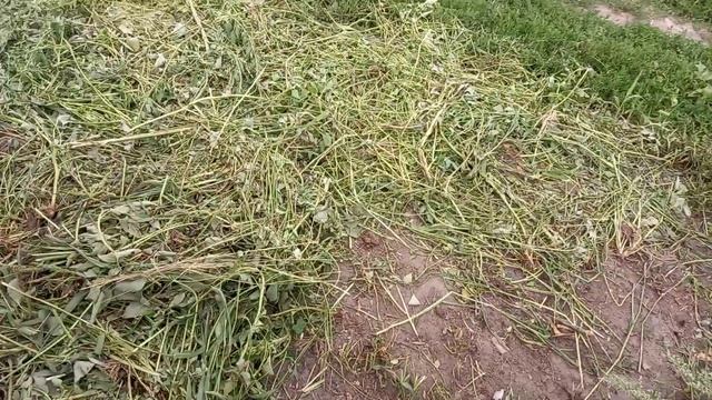 Улучшеные грабли гвка для трактора , размеры смотреть онлайн