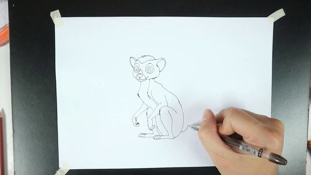 How To Draw A Lemur | Coloring And Drawing For Kids