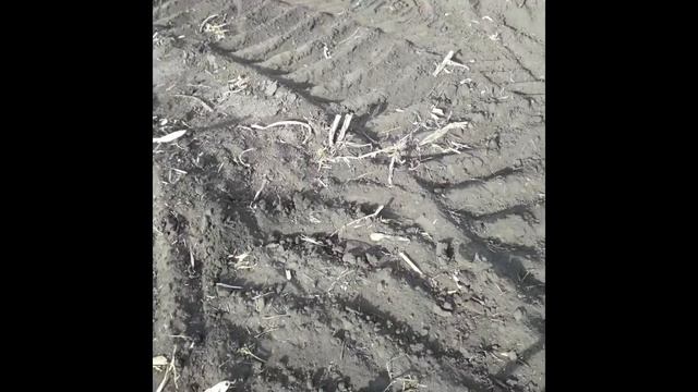 Отличный , хабарный коп Выходного дня !!!! Царская медаль!!!! смотреть онлайн