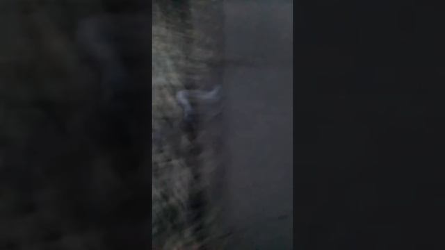 Бил тв смотреть онлайн