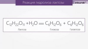 Дисахариды