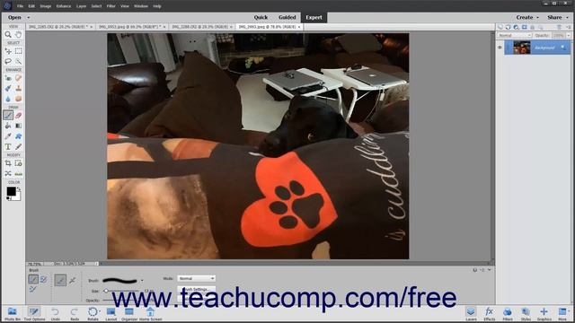 Learn How to Open Images in Adobe Photoshop Elements 2022: A Training Tutorial смотреть онлайн