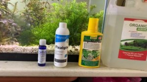 Средство от водорослей какое лучше ???