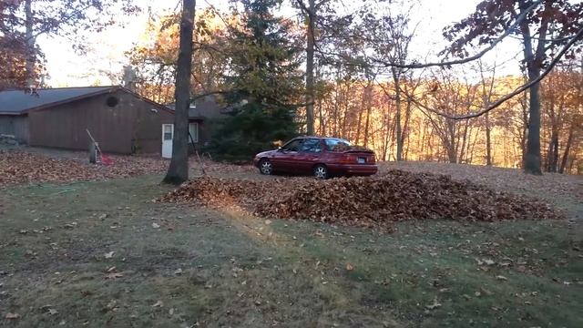 Driving a 95 Ford Escort through a leaf pile смотреть онлайн