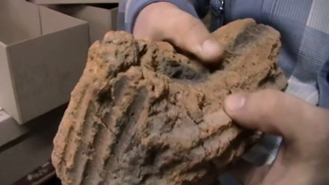 Куски турлучного дома с раскопа по улице Московская, 47 смотреть онлайн