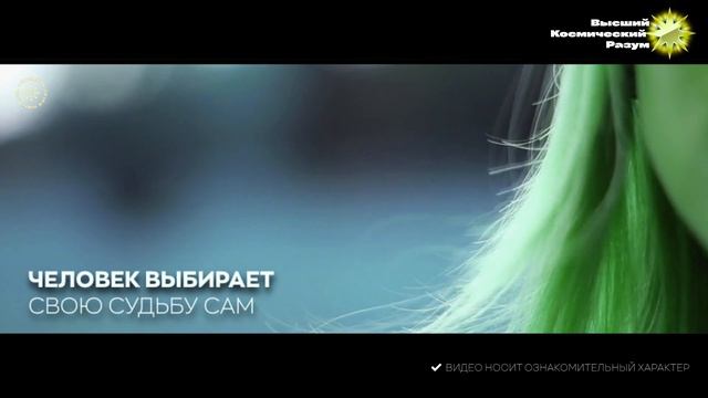 #БлагоВест ✴ Человек выбирает свою судьбу сам смотреть онлайн