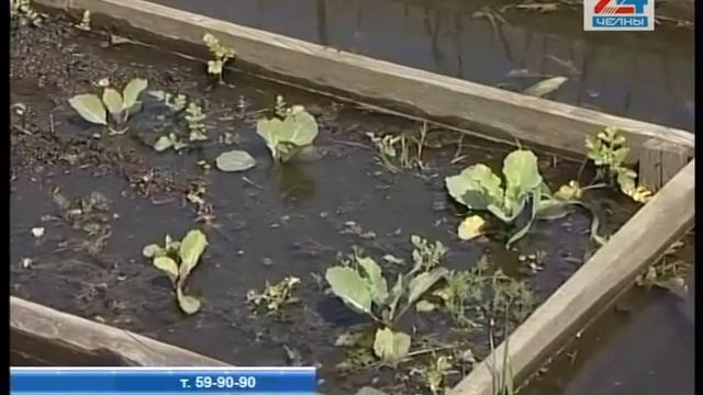 Кто поможет дачникам смотреть онлайн