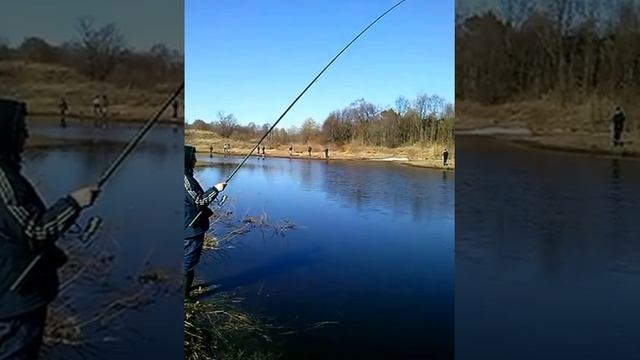 Рыбалка в окрестностях Рыбинска. Ловля леща. смотреть онлайн