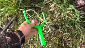 Добыча самой лучшей наживки по осени  - МОТЫЛЯ -  подробно и с обновлениями + небольшая рыбалочка