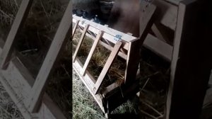 Кормушка для овец