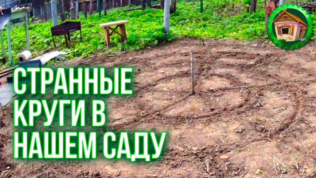 Странные круги в саду. Воздушное Черенкование. Делаем Пряную Грядку. 77 серия смотреть онлайн