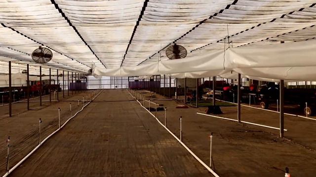 Potting Lavender Super Fast смотреть онлайн