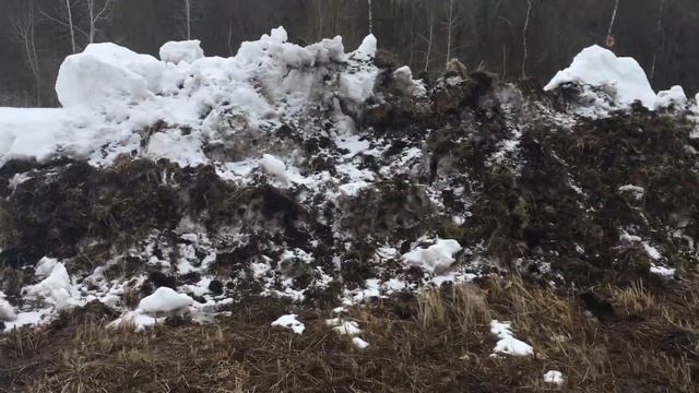 ПЕРЕЕЗД В ДЕРЕВНЮ|В МОСКВУ ЗА ПОКУПКАМИ|ДУШЕВНОЕ СТИХОТВОРЕНИЕ #деревня #простаки #покупки смотреть онлайн