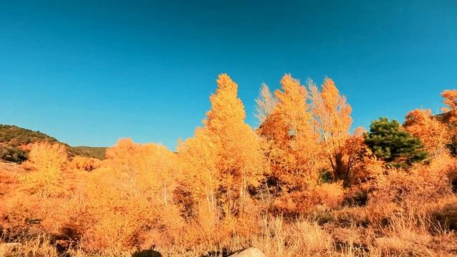 Shifter Visual Diary #012 смотреть онлайн