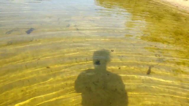 Санаторий имени Цурюпы, река Икорец смотреть онлайн