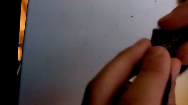 Сшили одежду для черепах!!! смотреть онлайн