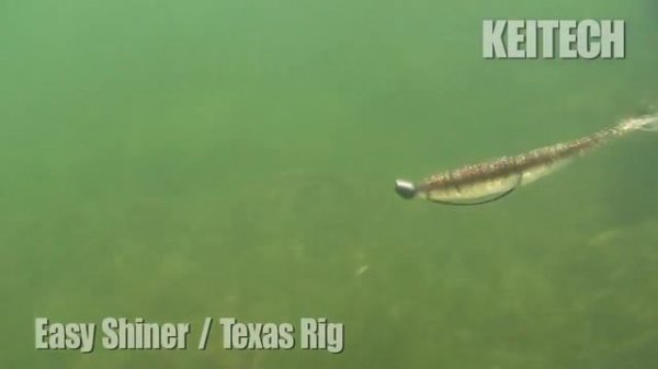 Keitech Easy Shiner. Ловля на джиг. Техасская остастка