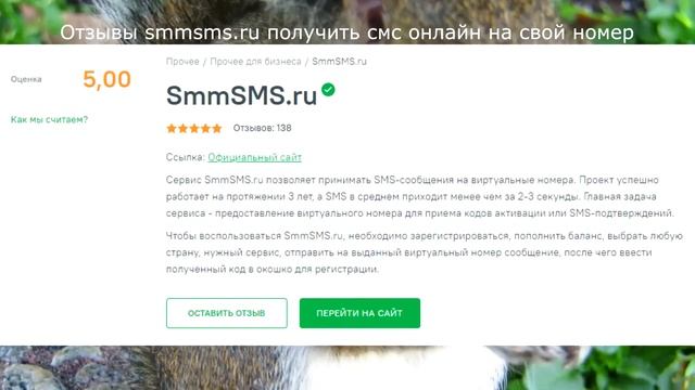 Отзывы smmsms.ru получить смс онлайн на свой номер смотреть онлайн