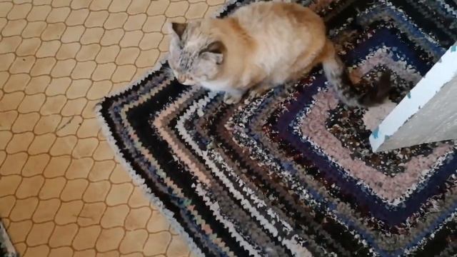 ДЕРЕВНЯ ОНЛАЙН/СПИМ ГДЕ НЕ НАДО/ смотреть онлайн