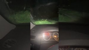 Горят туманки вместе с ближним opel astra h gtc