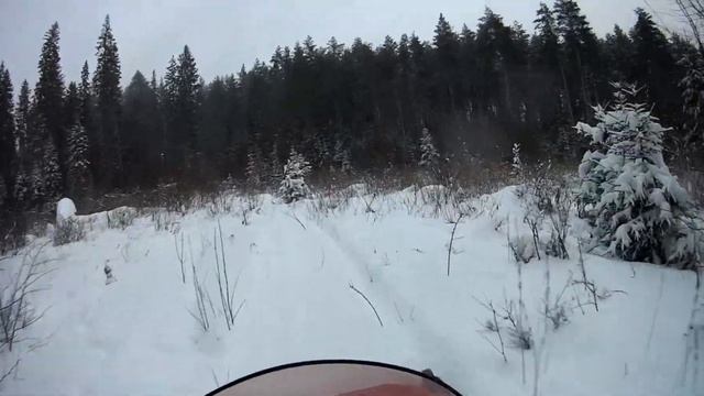 Красивый зимний лес смотреть онлайн