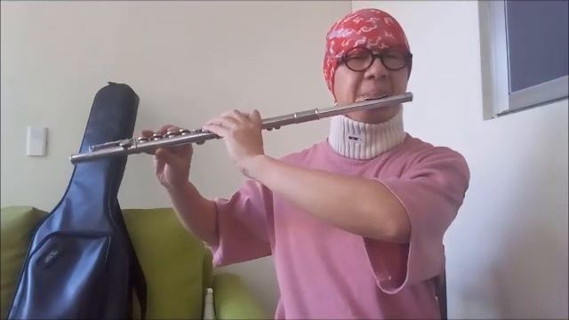 潘安邦-盼-長笛Flute練習08(cover-by 任閒騎miraclemaryboy)降A調 смотреть онлайн