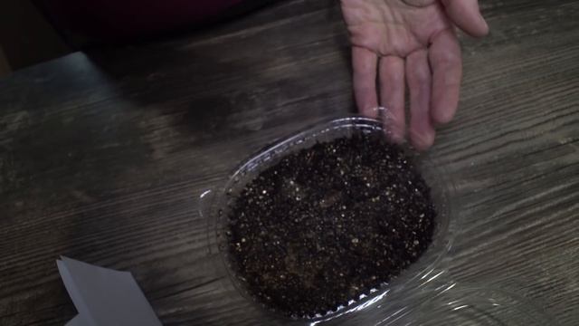 Как посеять мелкие семена Удобные и простые способы посева смотреть онлайн