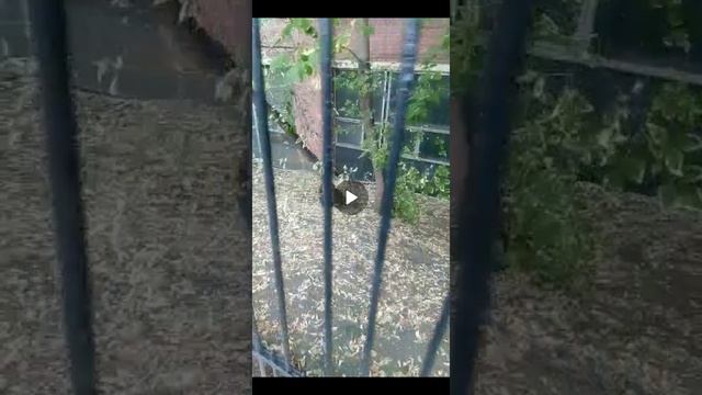 На блюдеN°04 Полуподземный замок завод в Мск