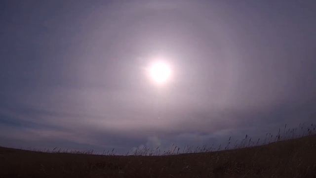 Охота на селезня. Весенняя охота 2021. Алтайский край. смотреть онлайн