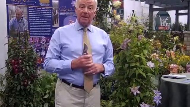 Raymond Evision Clematis Live from IGC show Chicago 2012.mp4 смотреть онлайн