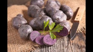 Обзор сорта картофель "Гурман" (характеристики, свойства, фото)