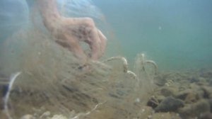 кастинговая сеть.принцип работы кастинговой сети cast net