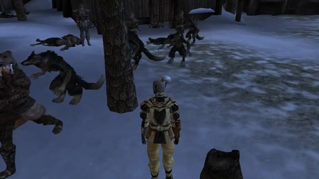 Morrowind Bloodmoon DLC Combat: "I must not strike civilians during group activities." смотреть онлайн
