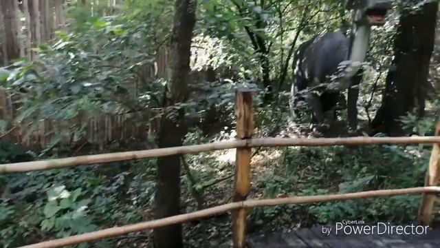 "Солнечный Остров", Краснодар, 17 августа 2019 г. смотреть онлайн