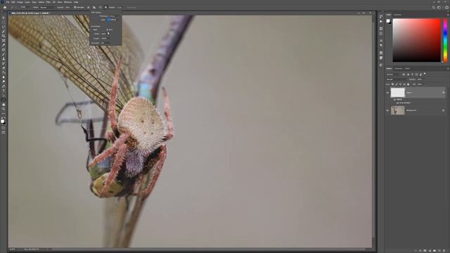 Photoshop | Add an Arrowhead to a Line смотреть онлайн